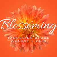 *1oz. Warming Oils